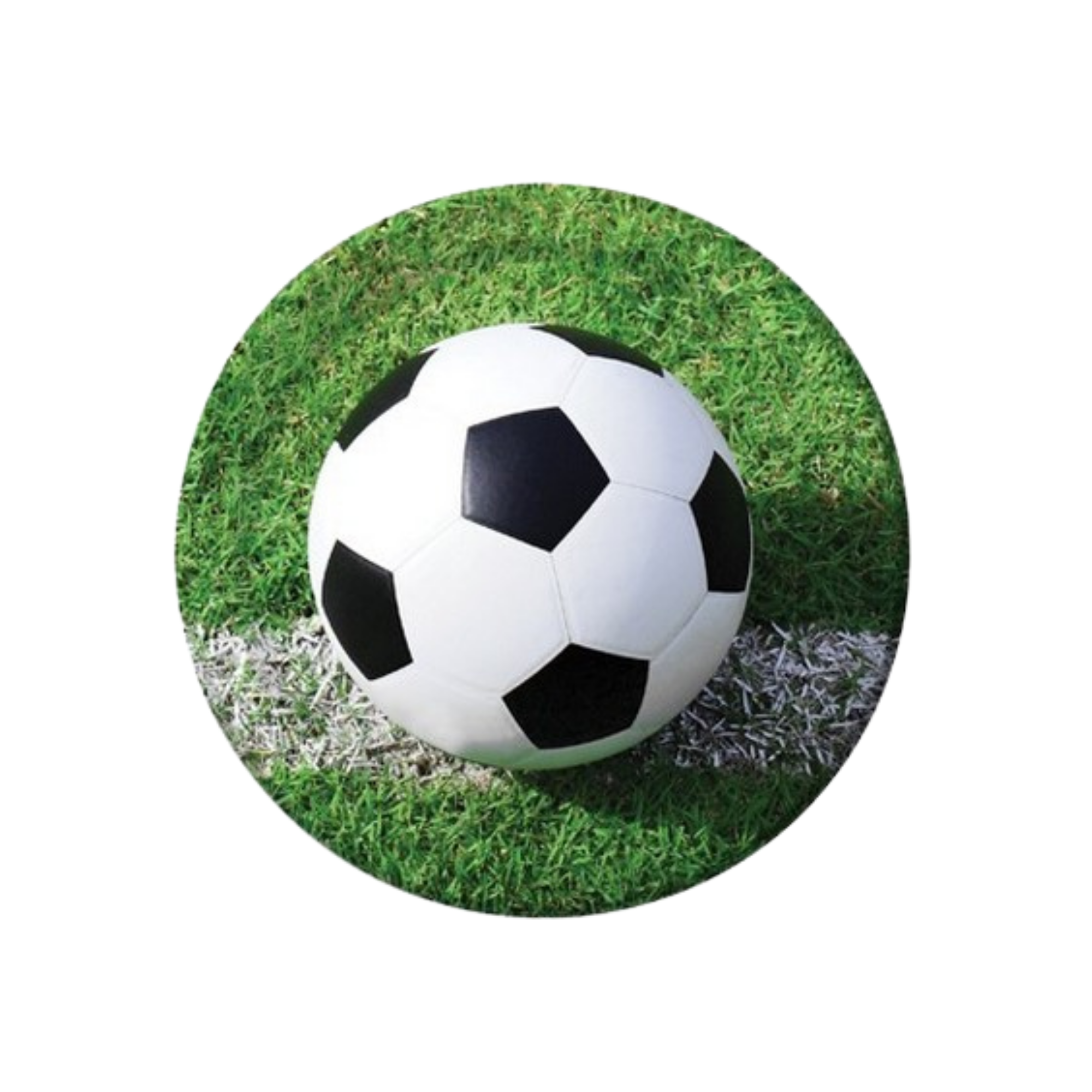 Piatto Carta Calcio Fanatic cm23 pz8