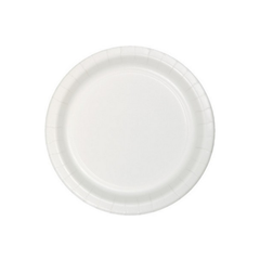 Plain White Paper Plate 22cm 8pcs